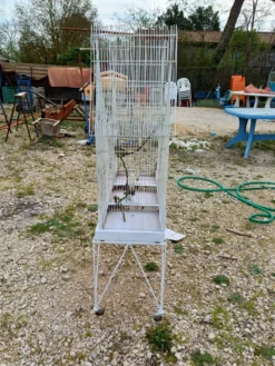 Cage à Oiseaux Fer 1900