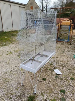 Cage à Oiseaux Fer 1900
