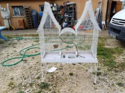 Cage à Oiseaux Fer 1900