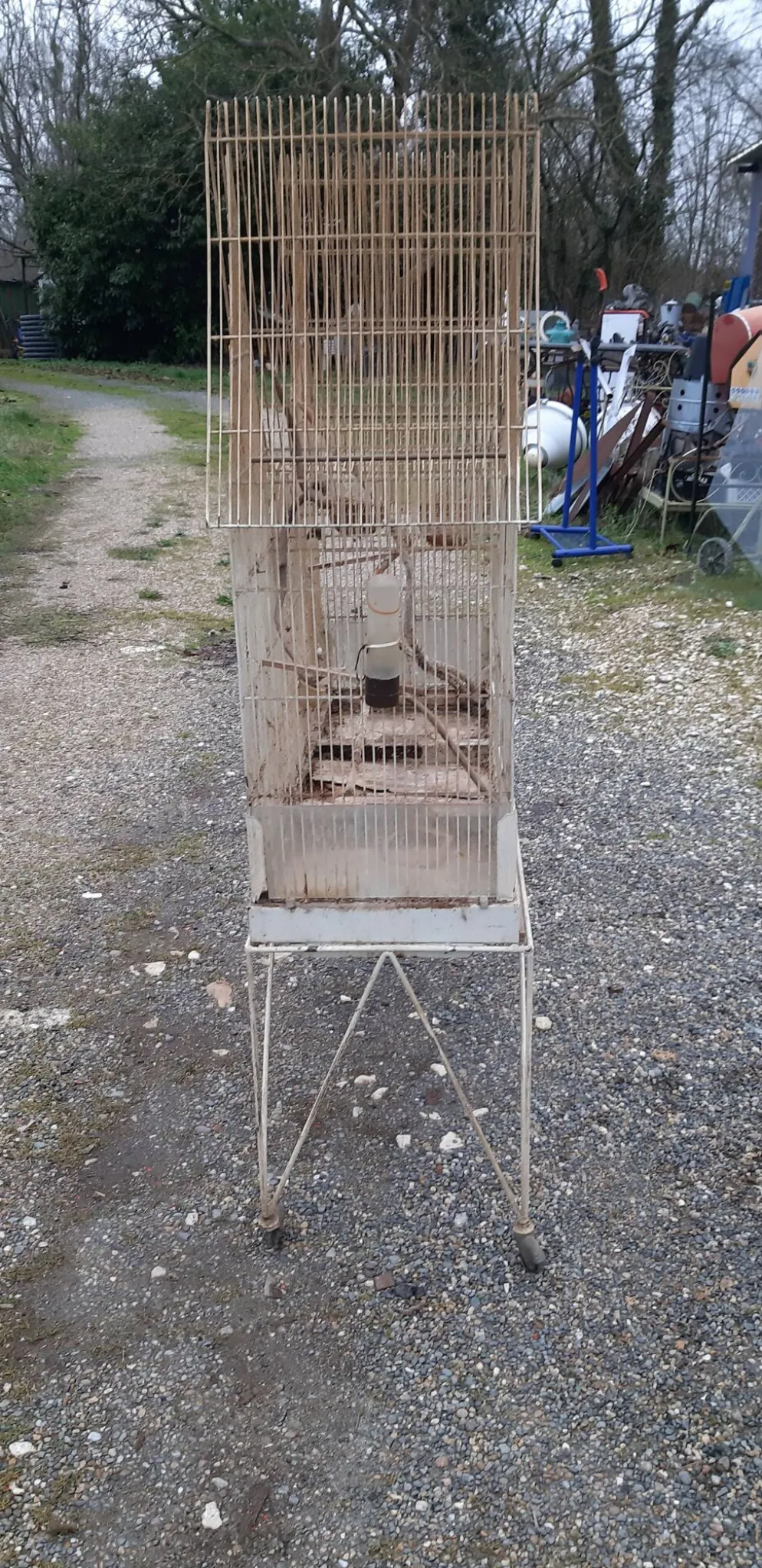 Cage à oiseaux fer 1900