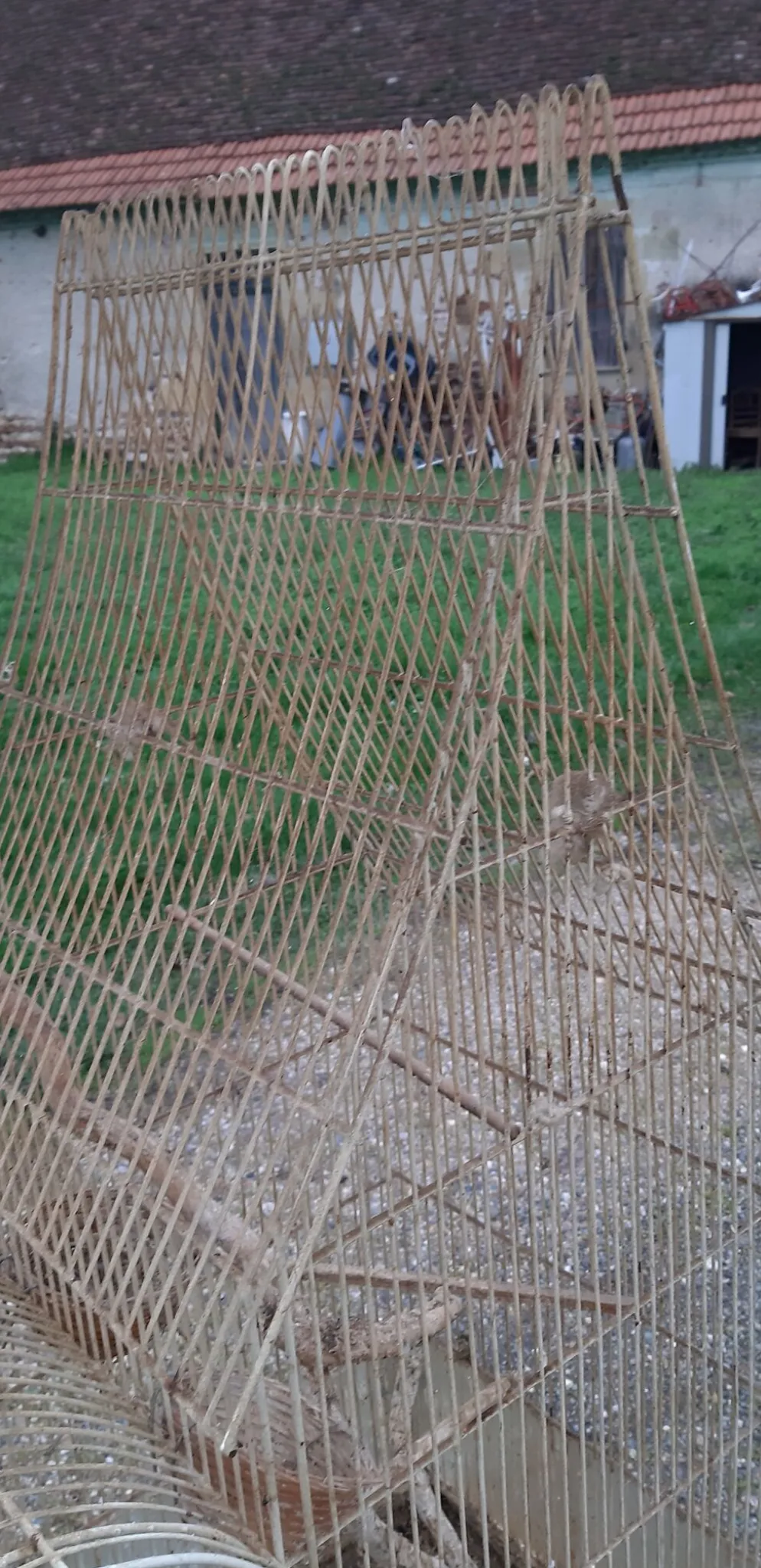 Cage à oiseaux fer 1900