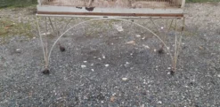 Cage à oiseaux fer 1900