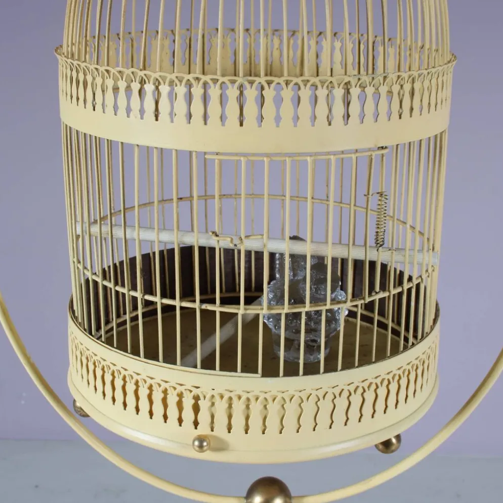 Cage à oiseaux, France années 1950