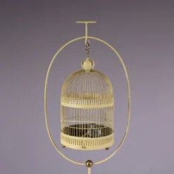 Cage à oiseaux, France années 1950