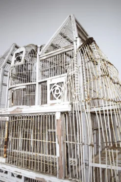 Cage à oiseau xixème