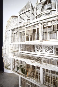 Cage à oiseau xixème