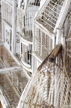 Cage à oiseau xixème