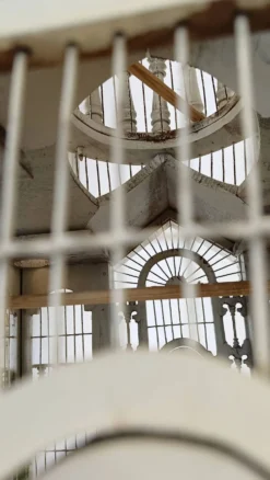 Cage à oiseaux victorienne française du milieu du siècle