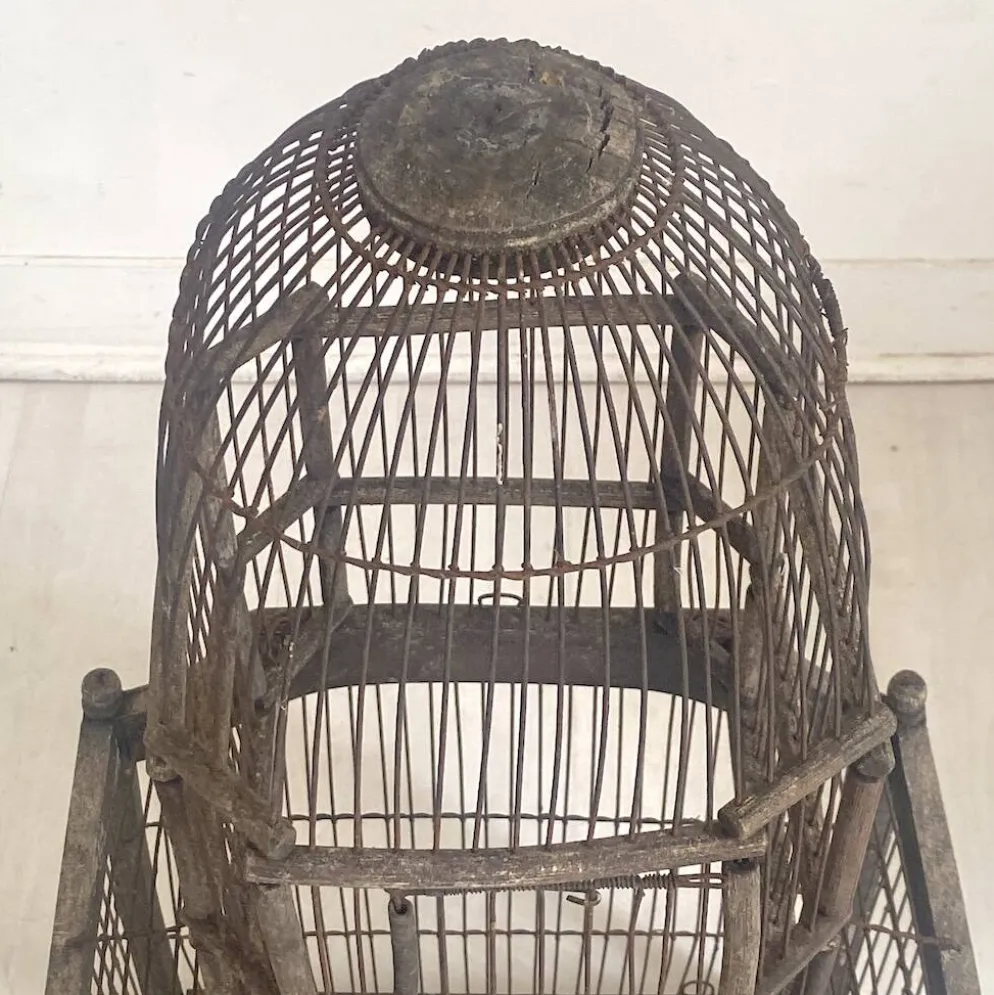 Cage à oiseaux vintage 1900's