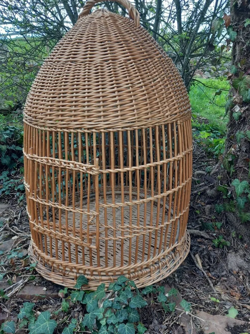 Cage à perroquet ancienne en rotin 85 cm de haut