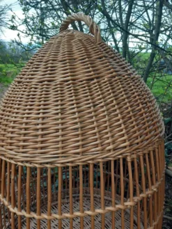 Cage à perroquet ancienne en rotin 85 cm de haut