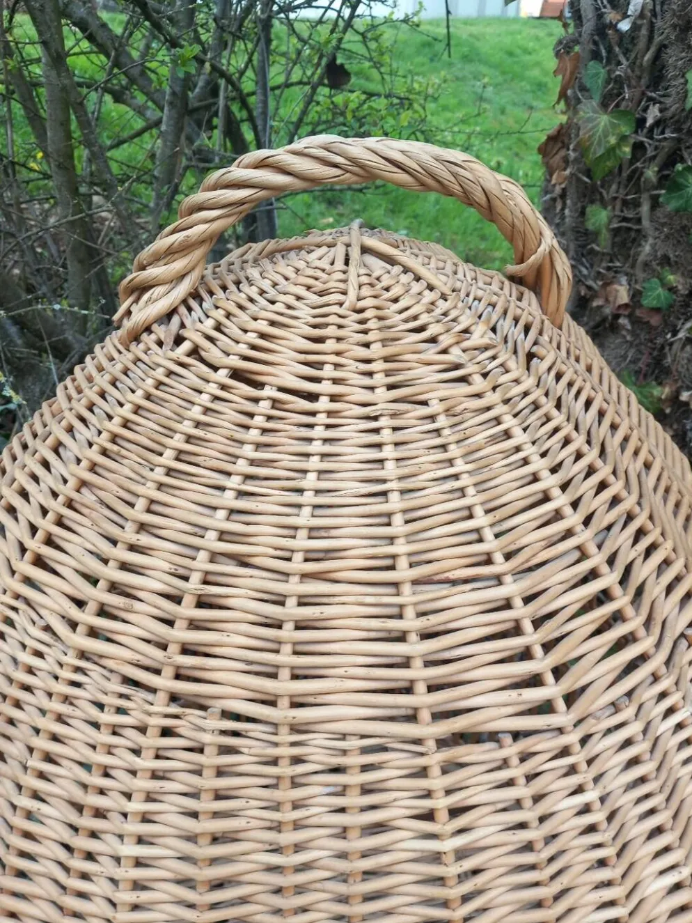Cage à perroquet ancienne en rotin 85 cm de haut