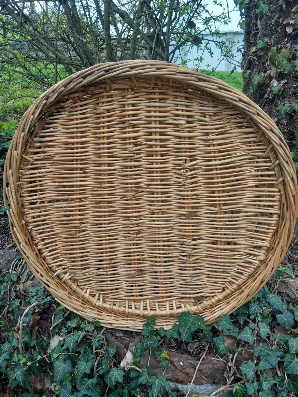 Cage à perroquet ancienne en rotin 85 cm de haut