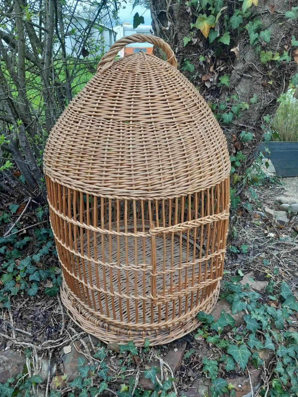 Cage à perroquet ancienne en rotin 85 cm de haut