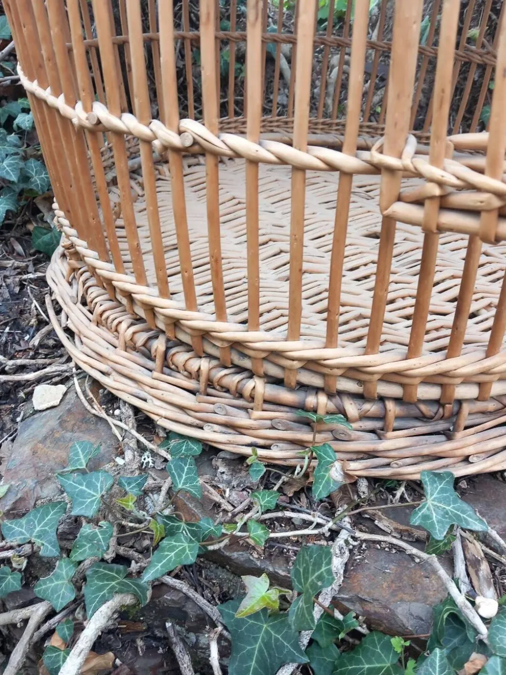 Cage à perroquet ancienne en rotin 85 cm de haut
