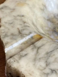 Cendrier en albâtre, Italie