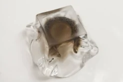 Cendrier murano carré 1960 transparent et marron
