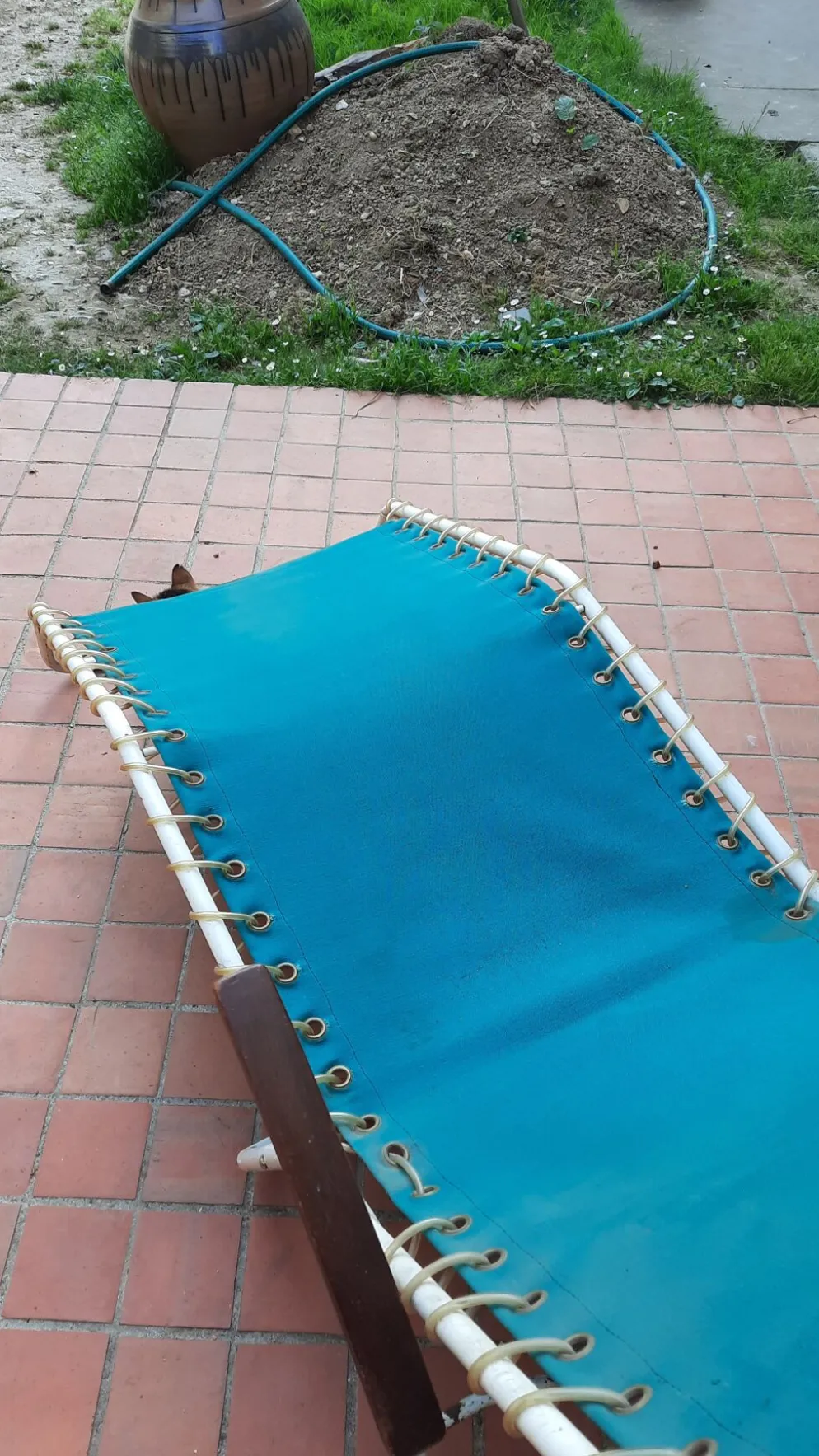 Chaise longue basculante