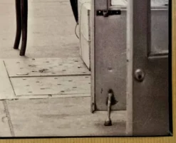 Chat & cireur – NYC 1960 Regard drôle, scène brute. Un instant de rue culte