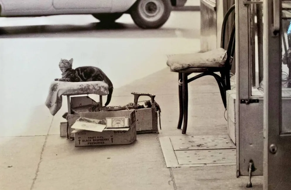 Chat & cireur – NYC 1960 Regard drôle, scène brute. Un instant de rue culte