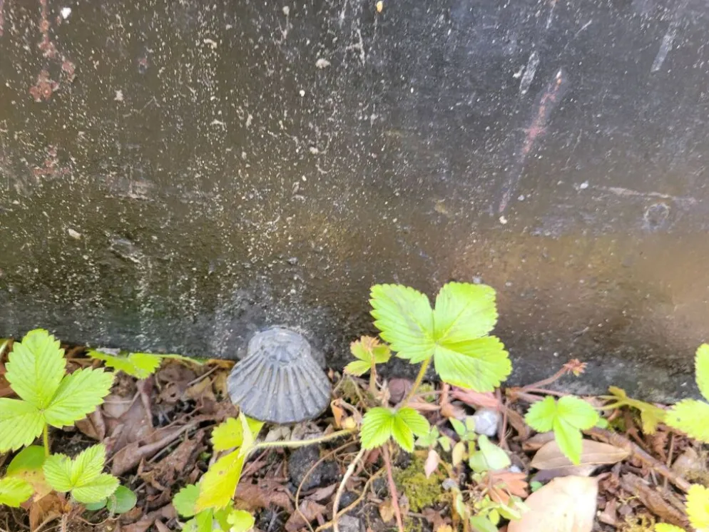 Cheminée en marbre gris mi XIXe