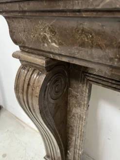 Cheminée Napoléon III a pieds griffes en marbre moucheté XIX siècle