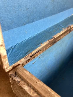 Coffre bombé en papier dominoté 19e