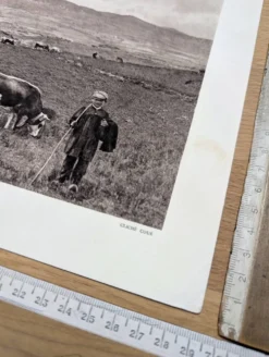 Col de la Perche, Pyrénées-Orientales, planche photo imprimée en 1937.