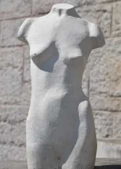 École française, Torse (vers 1940)