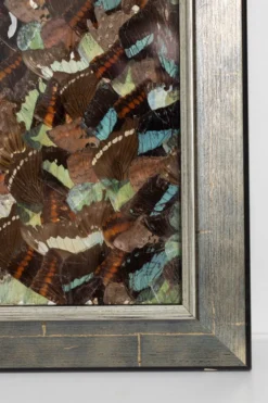 Collage en ailes de papillons xxl
