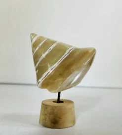 Coquillage