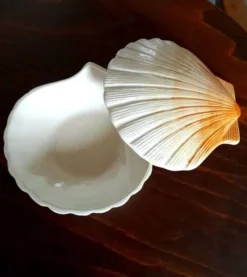 Coquillage en céramique 1960