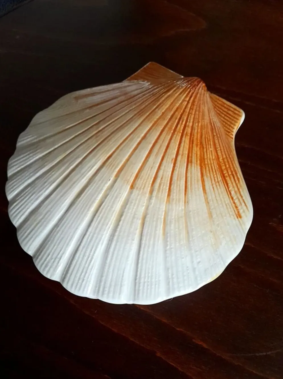 Coquillage en céramique 1960