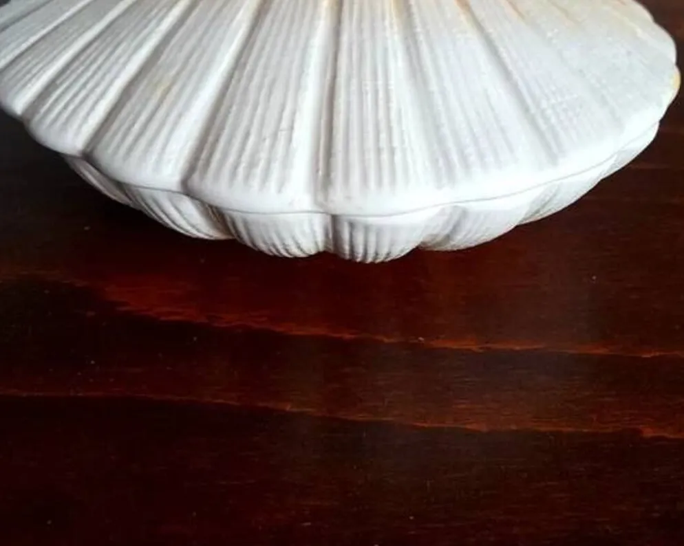 Coquillage en céramique 1960