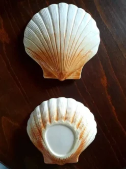 Coquillage en céramique 1960