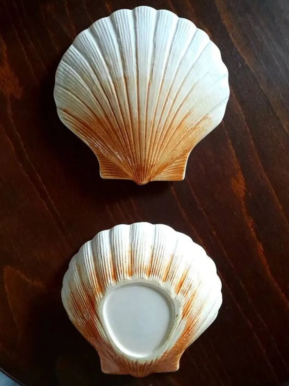 Coquillage en céramique 1960
