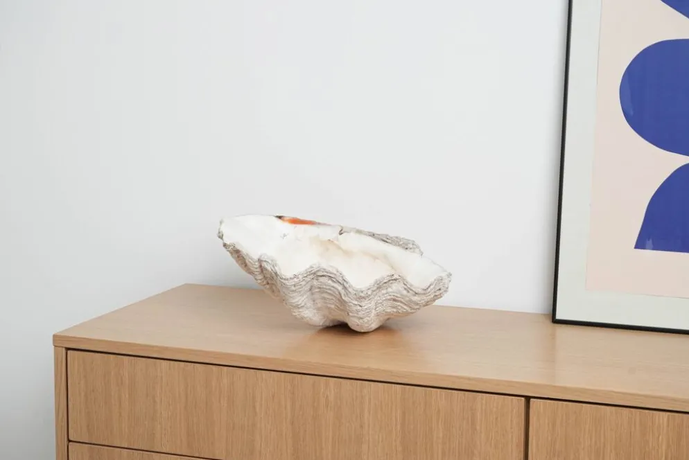Coquillage Tridacna décoratif, style boho, années 1980
