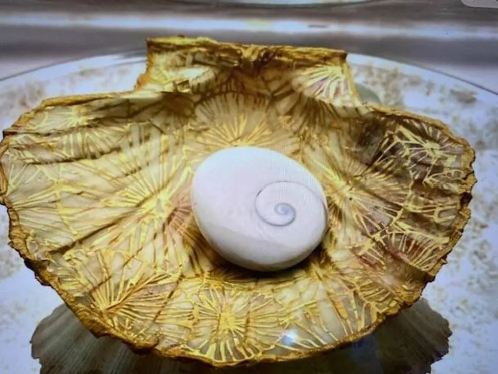 Coquille Saint Jacques décorée