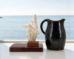 Corail blanc naturel sur socle en bois, années 70