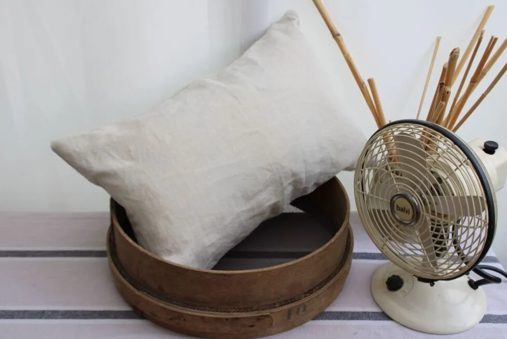 Coussin en lin