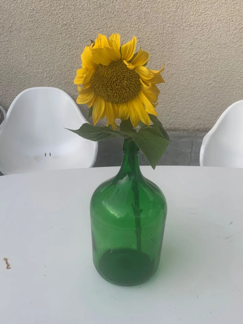Dame jeanne en verre verte vintage