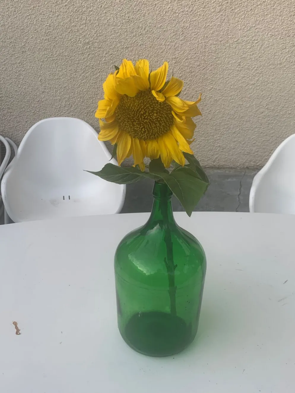 Dame jeanne en verre verte vintage