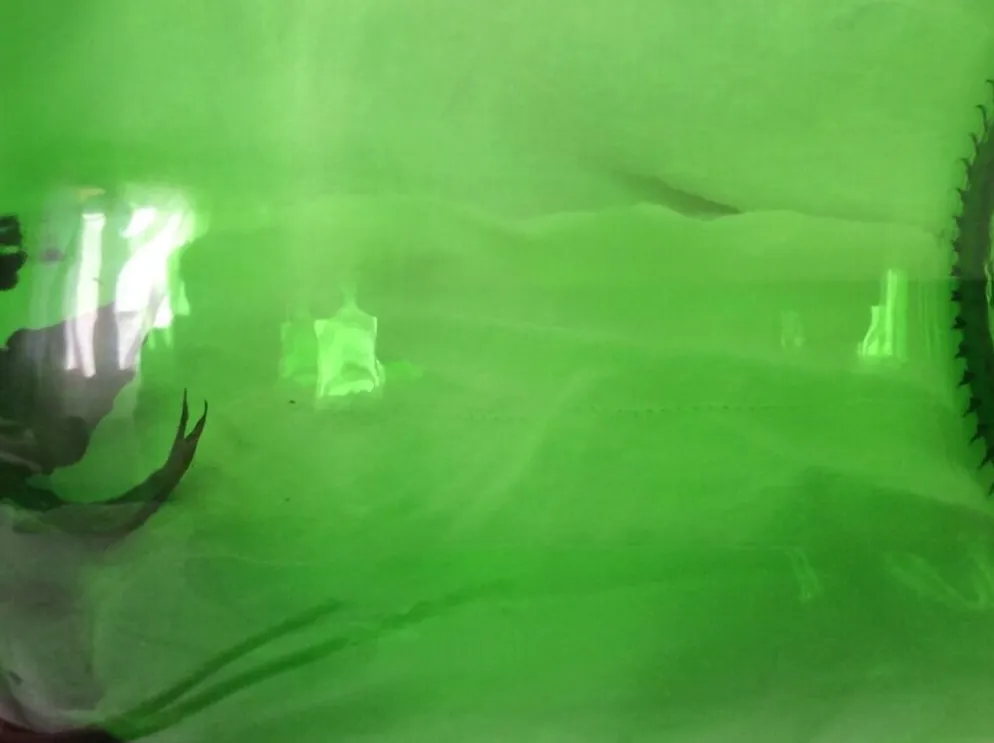 Dame Jeanne en verre vert émeraude