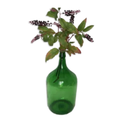 Dame Jeanne en verre vert émeraude