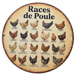 Décoration murale thème poules