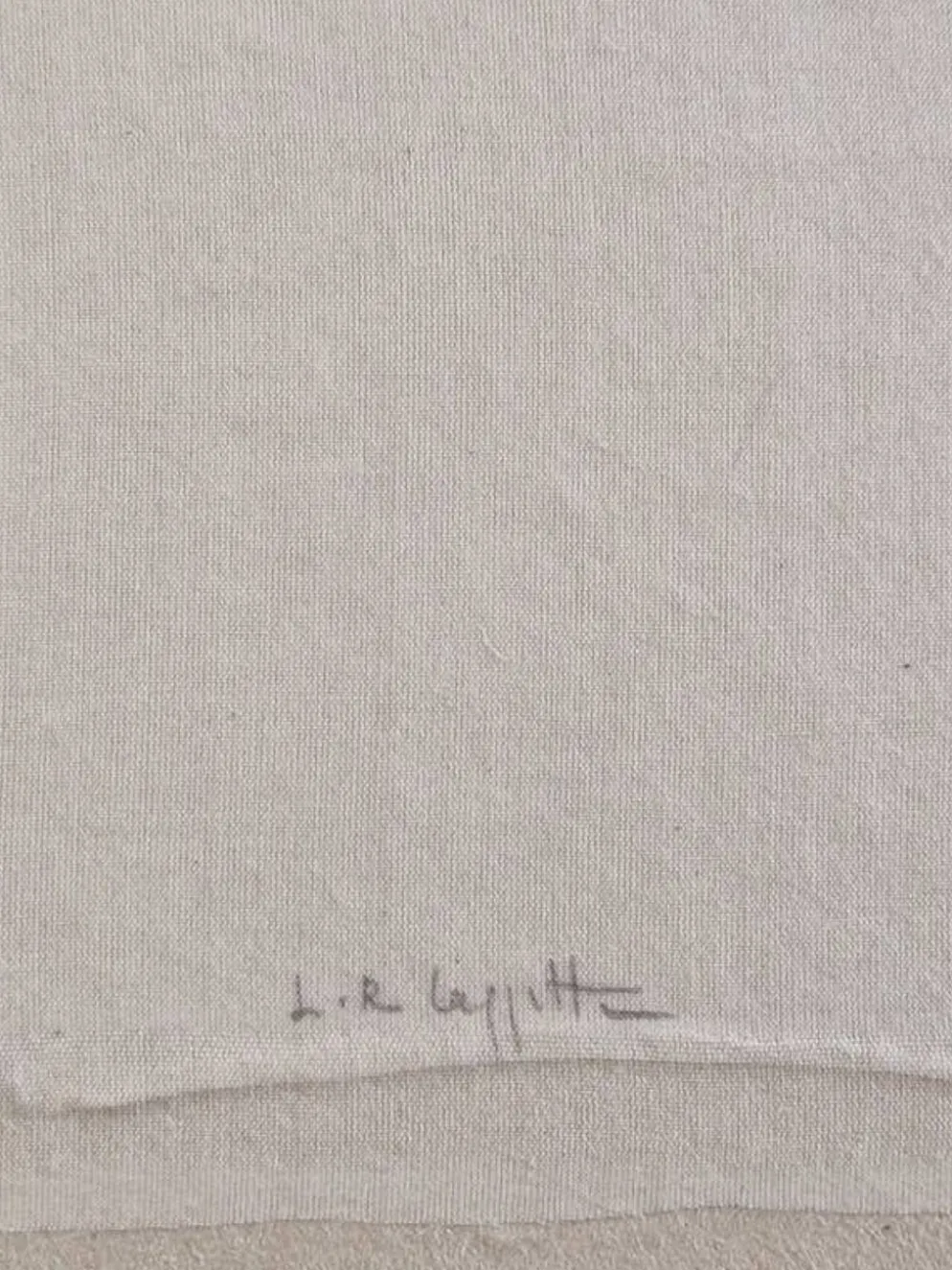 Dessin à l'aquarelle sur soie Danae Nodosa - La Roche Laffitte (Né en 1943)