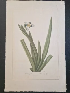 Dessin à l'aquarelle sur soie - Morée - La Roche Laffitte (Né en 1943)