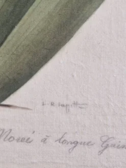 Dessin à l'aquarelle sur soie - Morée - La Roche Laffitte (Né en 1943)