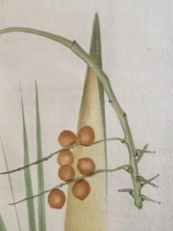 Dessin à l'aquarelle sur soie - Palmier - La Roche Laffitte (Né en 1943)