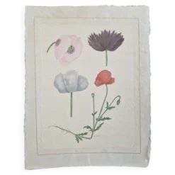 Dessin à l'aquarelle sur soie - Pavots - La Roche Laffitte (Né en 1943)